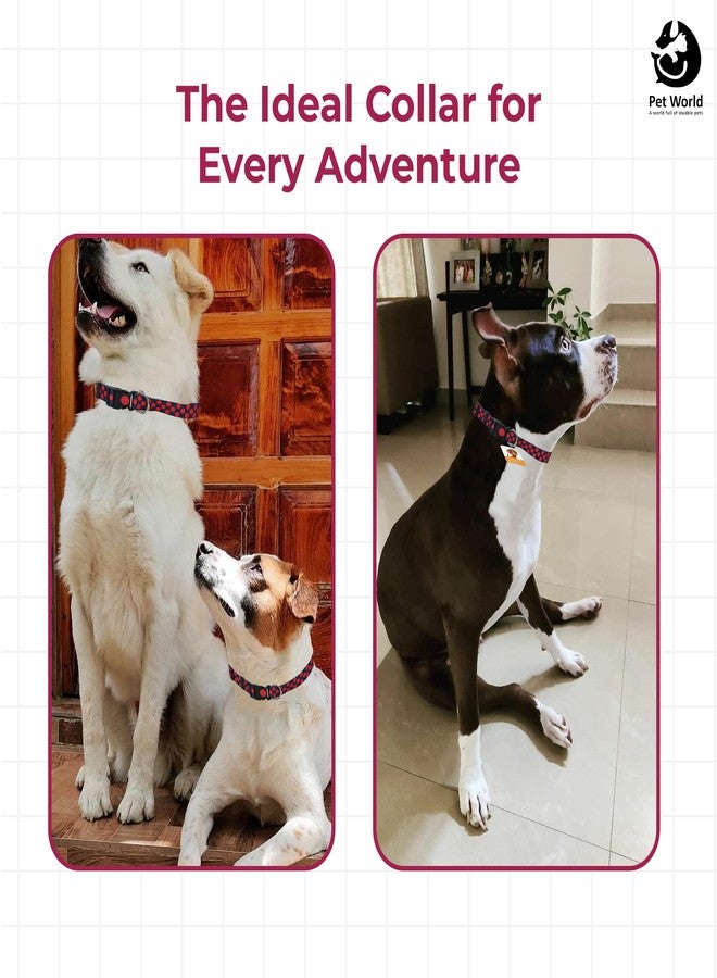 Pet World Adjustable Dog Printed Collar | Suitable for All Dogs and Puppies | with Heavy Duty Durable Buckle | Safe Design and Comfortable for Pets | Large Size | Light in Weight - Image 5